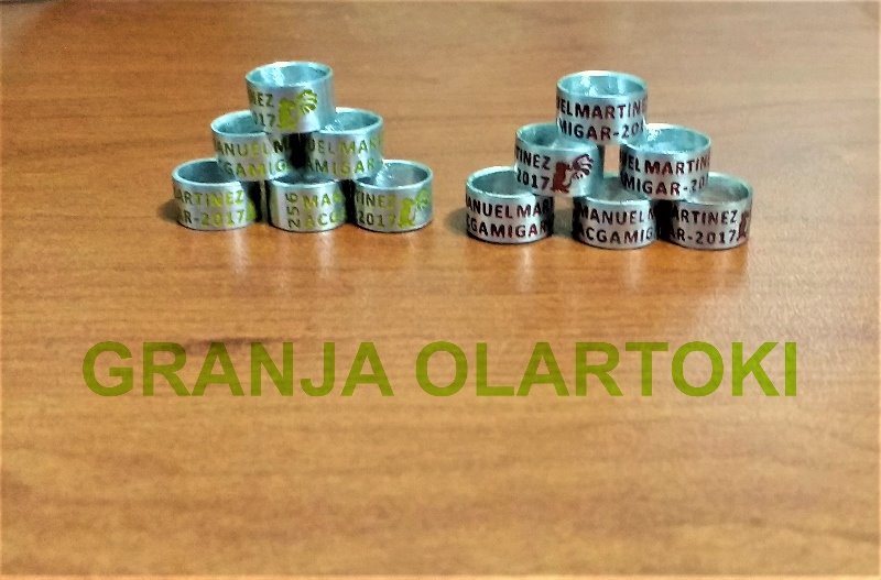 Anillos para gallo miniatura