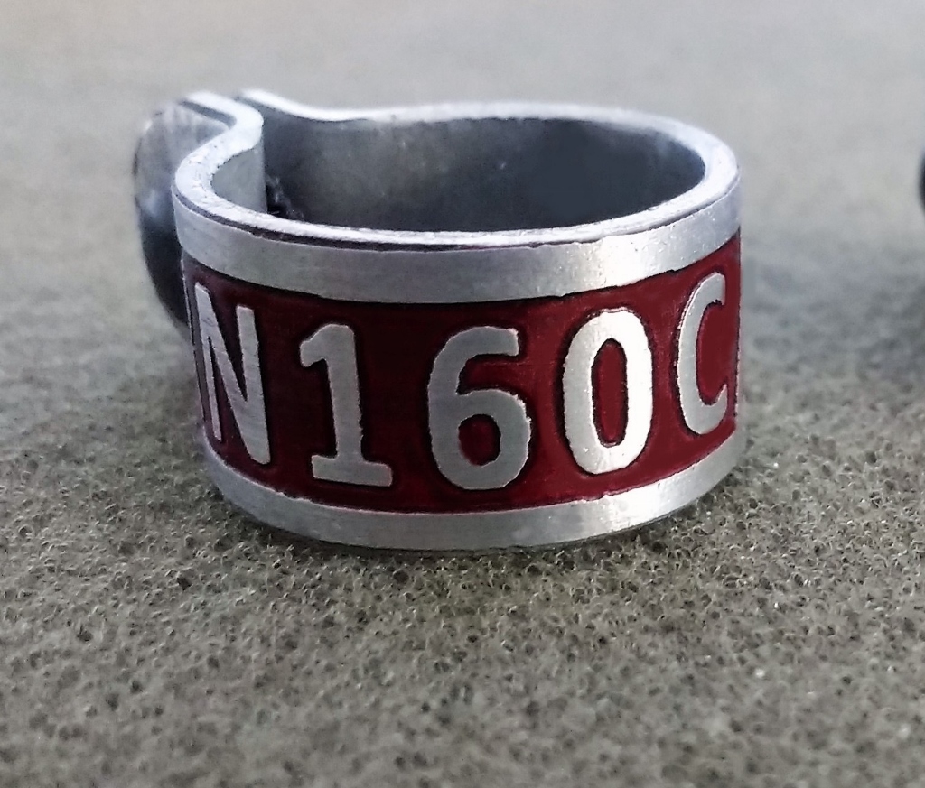 Bandas marcaje para aves de presa