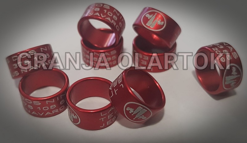 img-20181213-wa0003 (1)