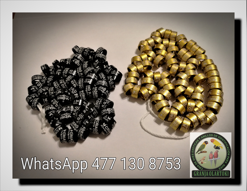 IMG_20190307_194449 800 mpx