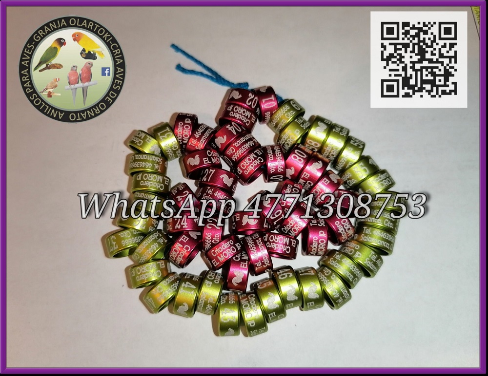 IMG_20200323_152353 (1)