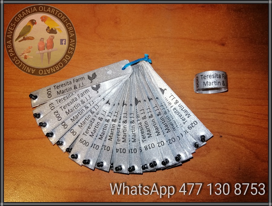 IMG_20190625_195108_899