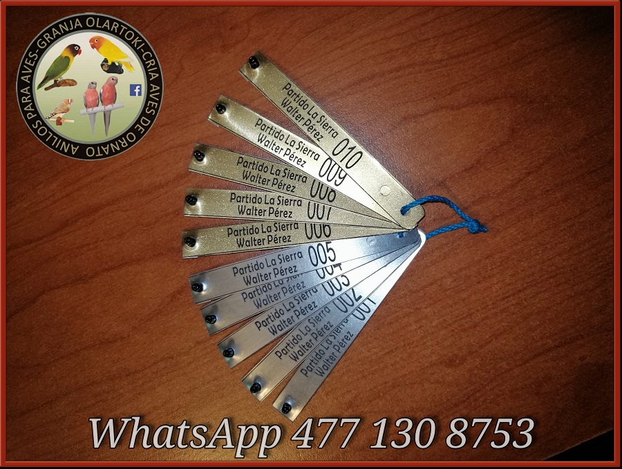 IMG_20190922_174338_710